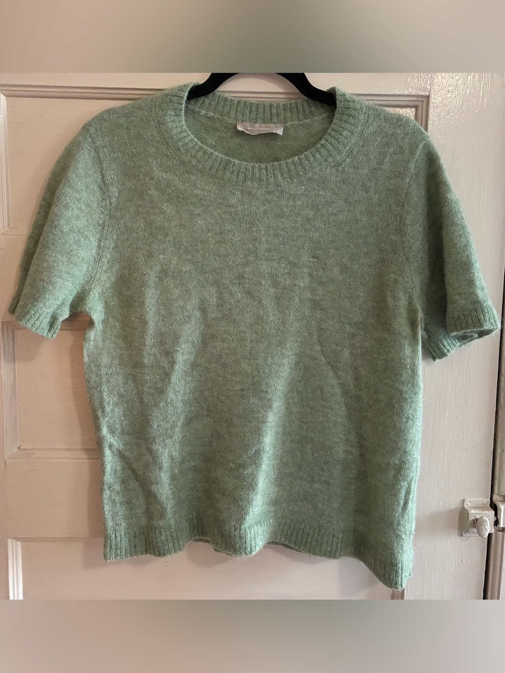 Everlane Sea Green Short-Sleeve Crewneck Sweater